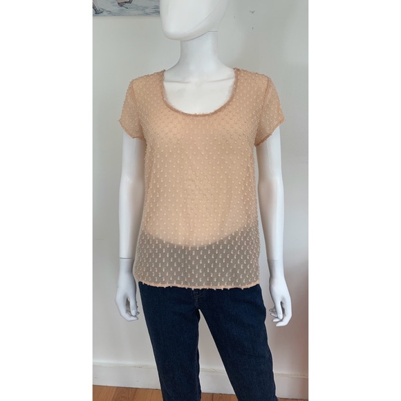 American Rag Tops - American Rag Top